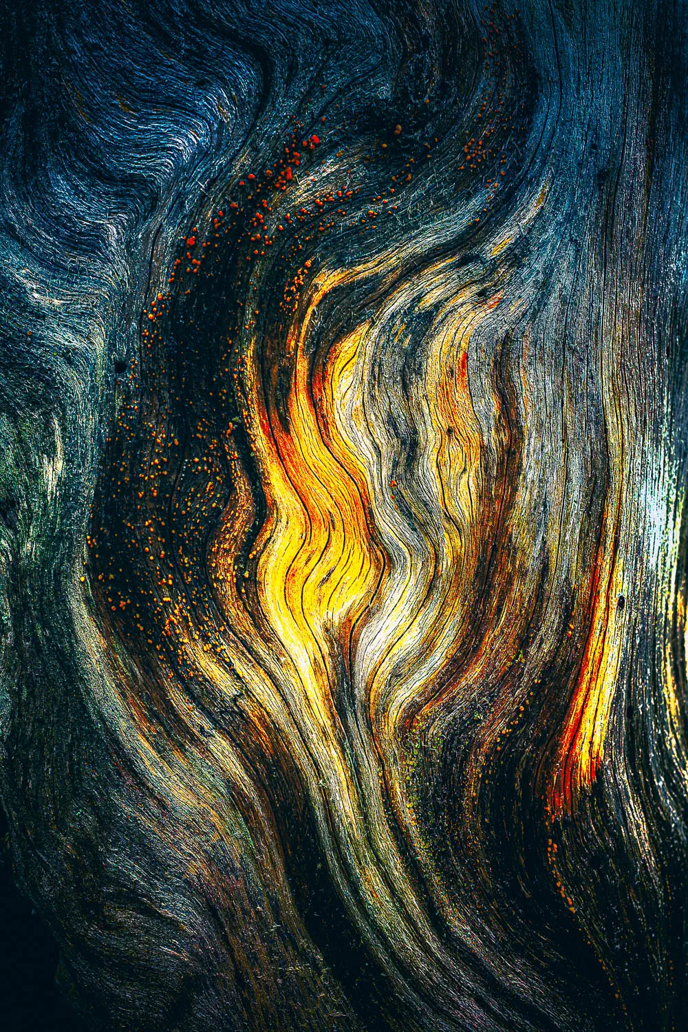 Flammen
